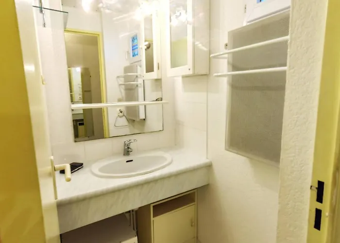 Апартаменты T2 Climatise Avec Piscine Et Parking Au Cap D'agde - Fr-1-607-52